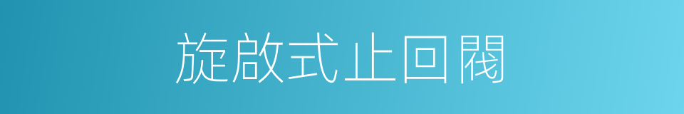 旋啟式止回閥的同義詞