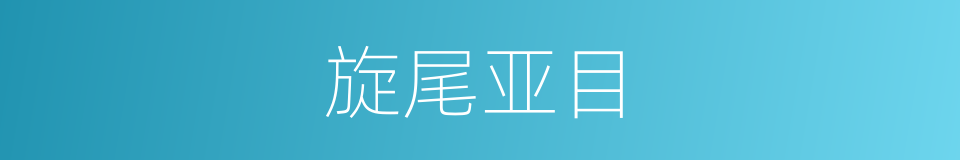 旋尾亚目的同义词
