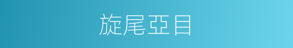 旋尾亞目的同義詞