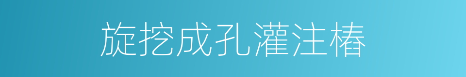 旋挖成孔灌注樁的同義詞