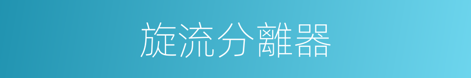 旋流分離器的同義詞