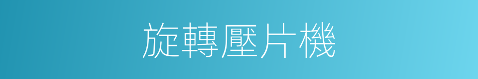 旋轉壓片機的同義詞