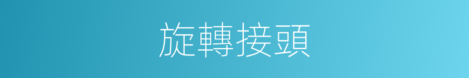 旋轉接頭的同義詞