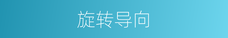 旋转导向的意思