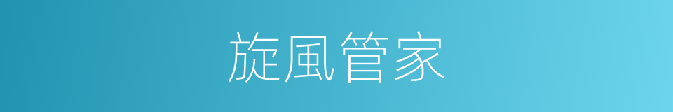 旋風管家的同義詞