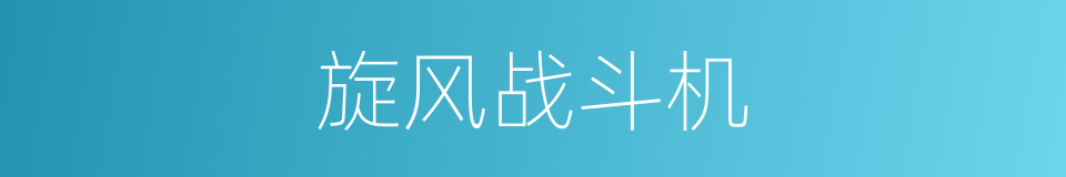 旋风战斗机的同义词