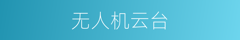 无人机云台的同义词