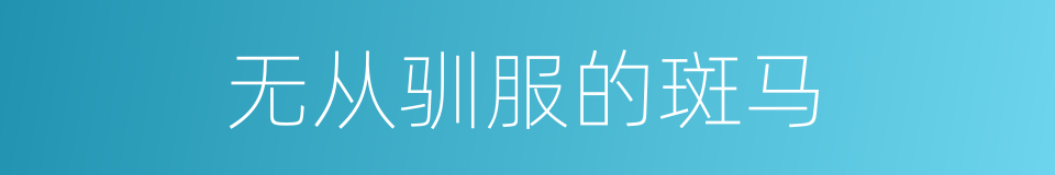 无从驯服的斑马的同义词