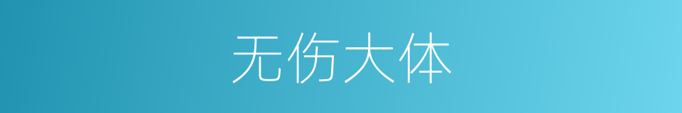 无伤大体的意思