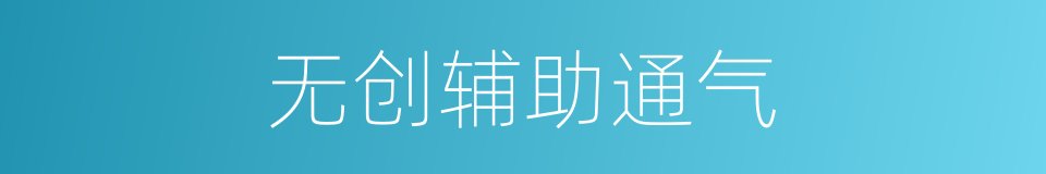 无创辅助通气的同义词