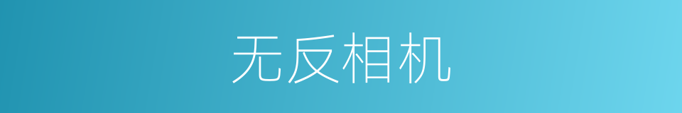无反相机的同义词