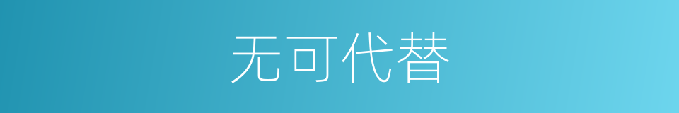 无可代替的同义词