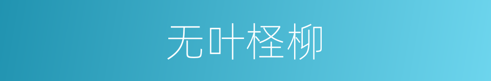 无叶柽柳的同义词