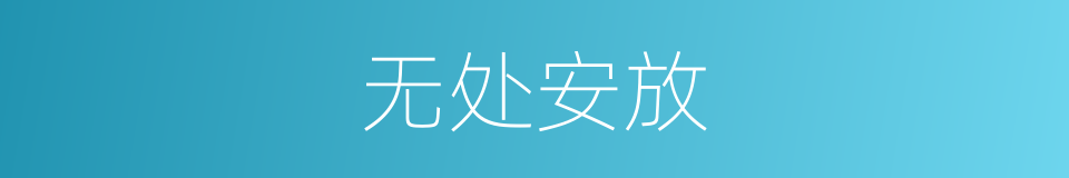 无处安放的意思