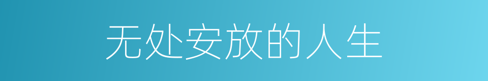 无处安放的人生的同义词