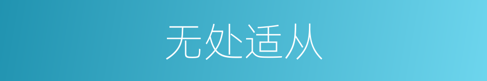 无处适从的意思