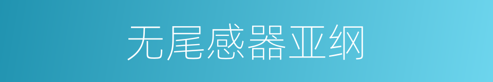 无尾感器亚纲的同义词