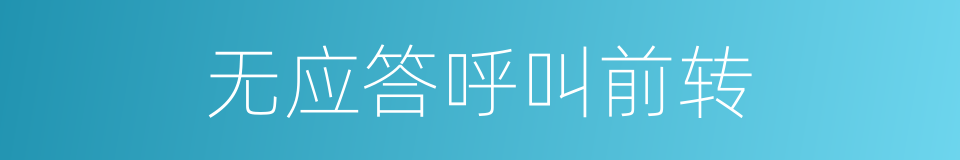 无应答呼叫前转的同义词
