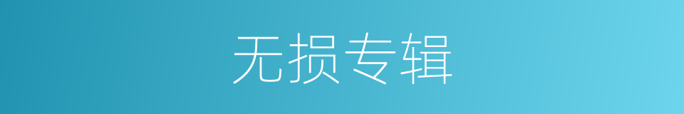 无损专辑的同义词