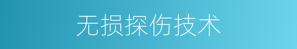 无损探伤技术的同义词
