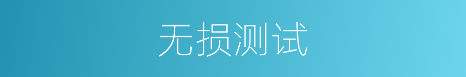 无损测试的同义词