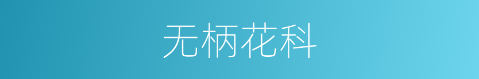 无柄花科的同义词