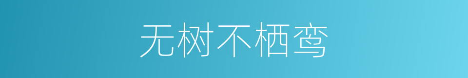 无树不栖鸾的同义词