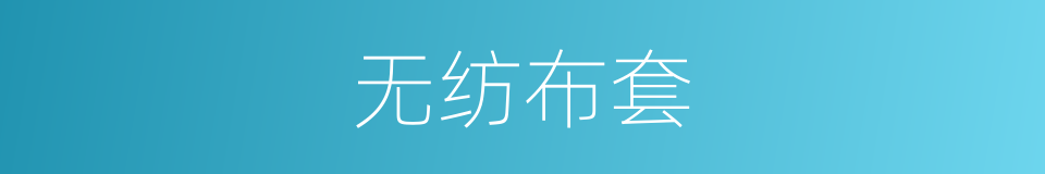 无纺布套的同义词