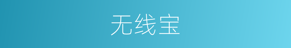 无线宝的同义词