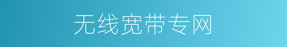 无线宽带专网的同义词