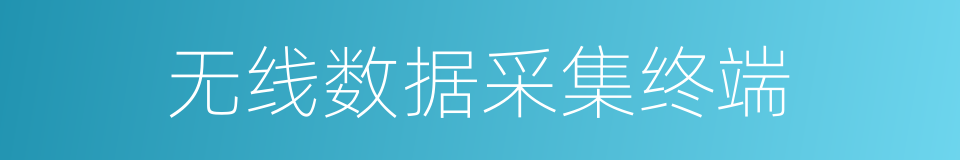 无线数据采集终端的同义词