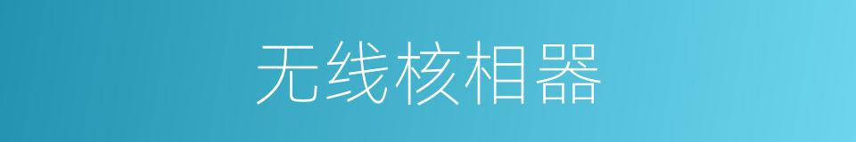 无线核相器的同义词