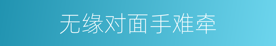 无缘对面手难牵的同义词