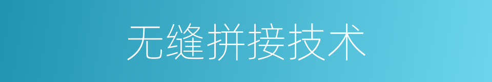 无缝拼接技术的同义词