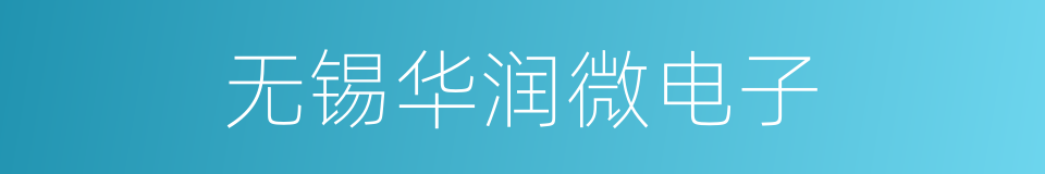 无锡华润微电子的同义词