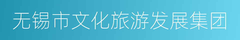 无锡市文化旅游发展集团的同义词
