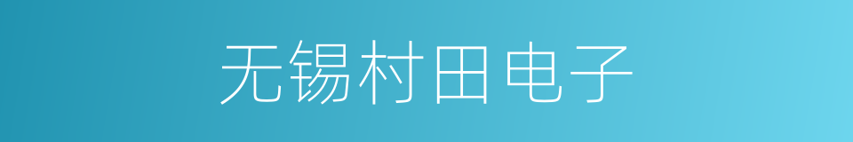 无锡村田电子的同义词