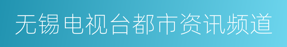 无锡电视台都市资讯频道的同义词