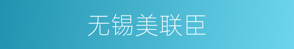 无锡美联臣的同义词