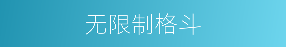 无限制格斗的同义词