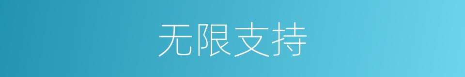 无限支持的意思