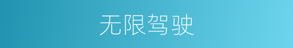 无限驾驶的同义词