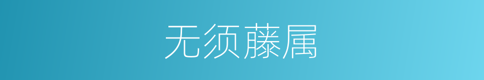 无须藤属的同义词