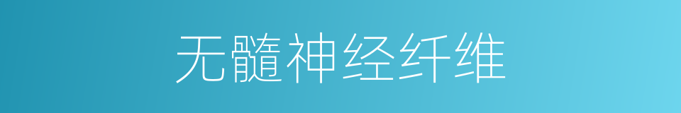 无髓神经纤维的同义词