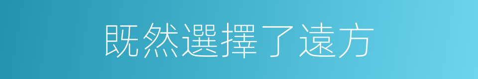 既然選擇了遠方的同義詞