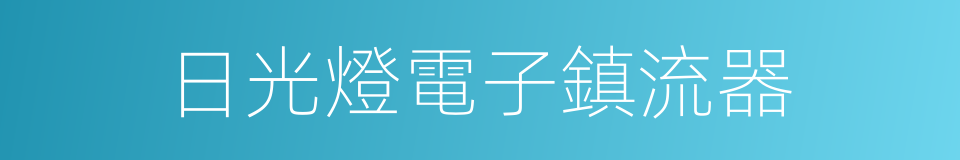 日光燈電子鎮流器的同義詞