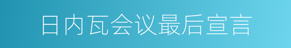 日内瓦会议最后宣言的同义词