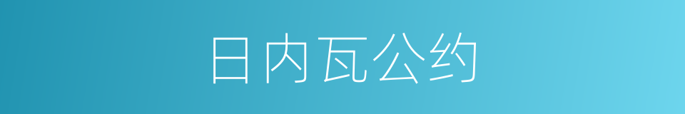 日内瓦公约的同义词