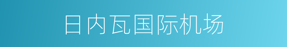 日内瓦国际机场的同义词