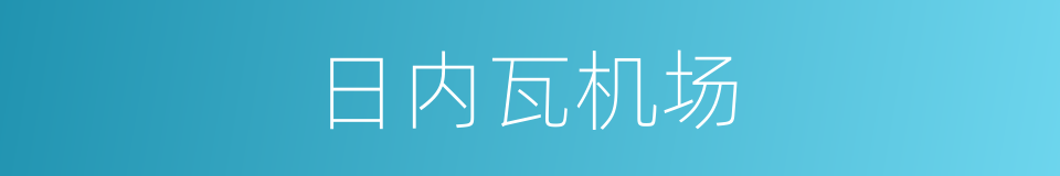 日内瓦机场的同义词